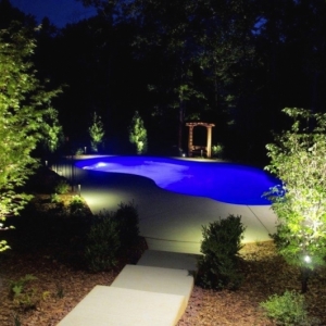 309. Night time lagoon shape pool
