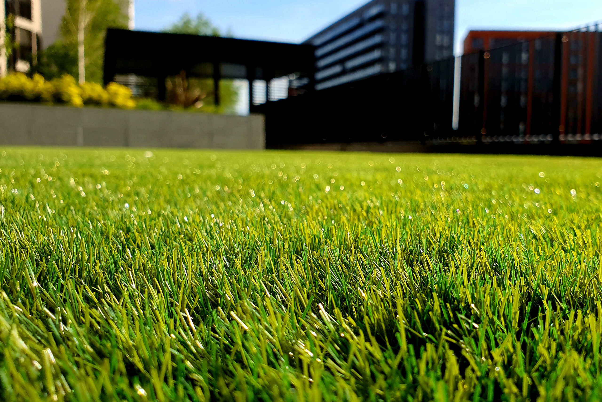 Well Maintained Lawn Well Maintained Lawn